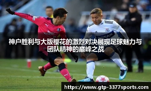 3377体育官网